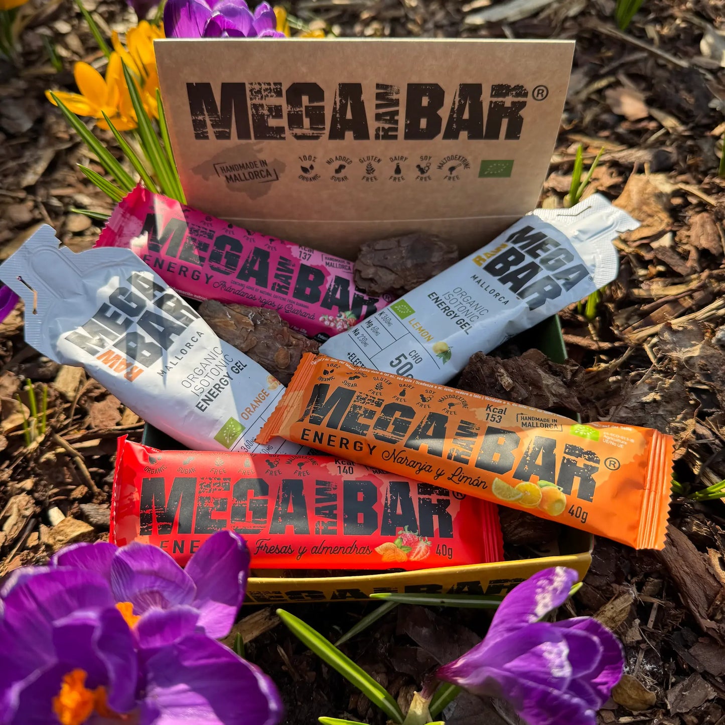 MegaRawBar MiniBox zum Testen oder als kleines Geschenkt Ideal