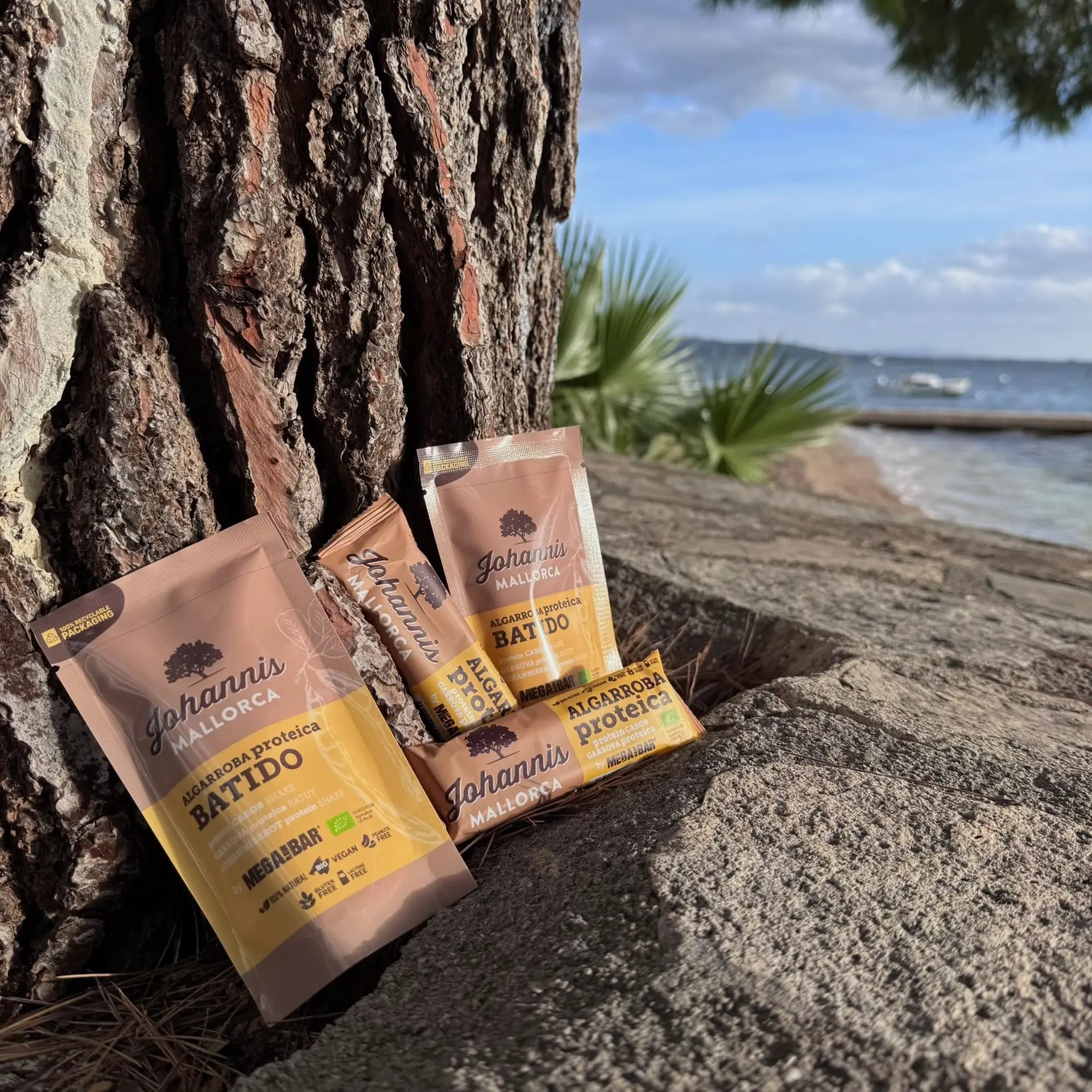 MegaRawBar Johannis Carob Mallorca Proteinriegel und Drink als Testpaket
