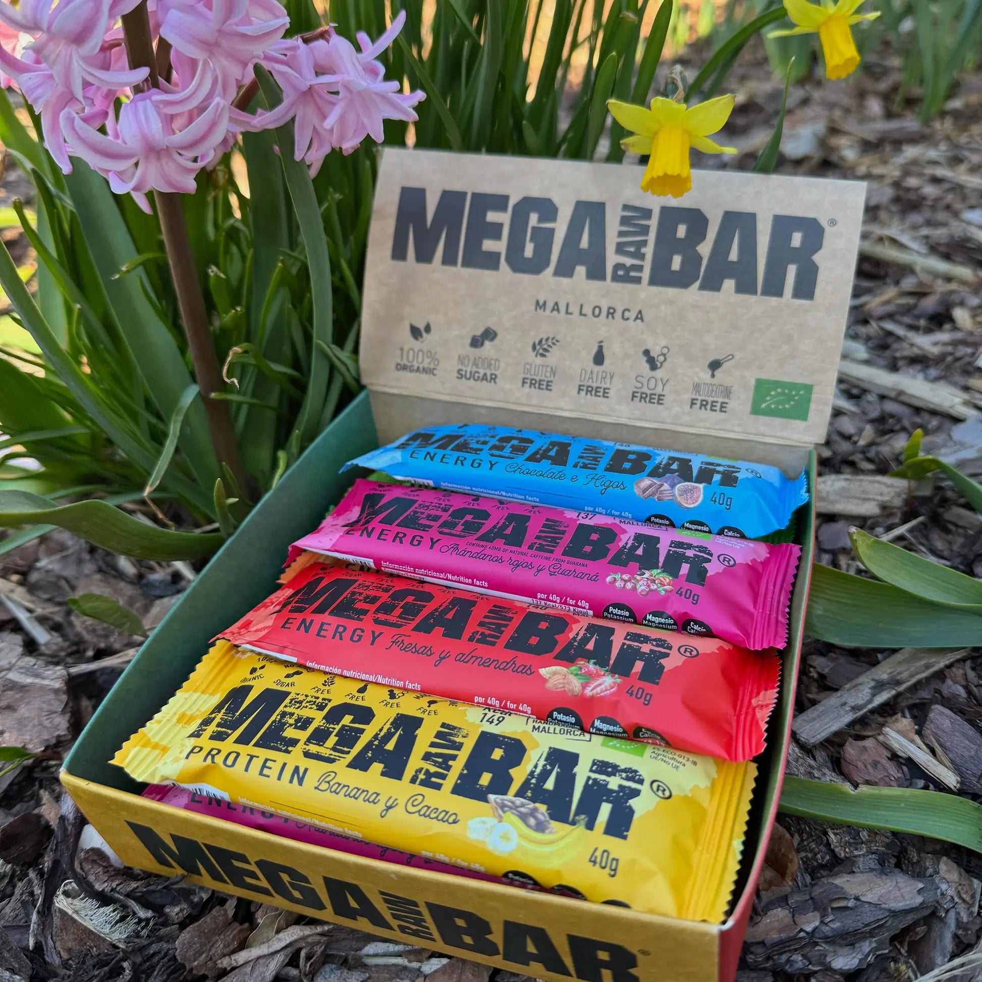MegaRawBar MixBox 12 Stück a 40g Riegel entdecke unsere Energieriegel