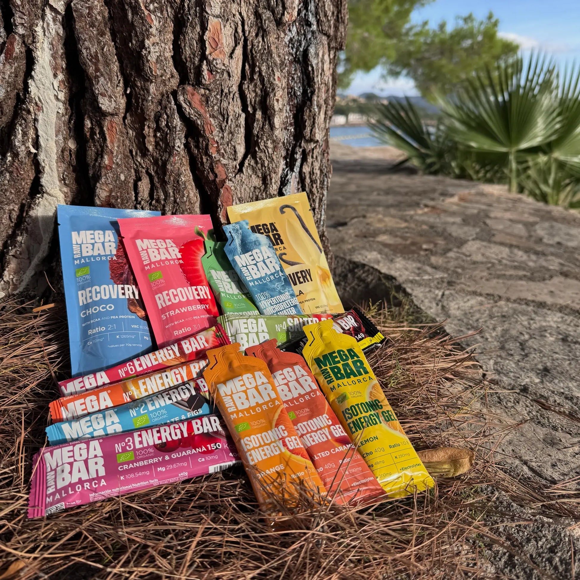 MegaRawBar MaxiBox perfekt als Testpaket oder Geschenk