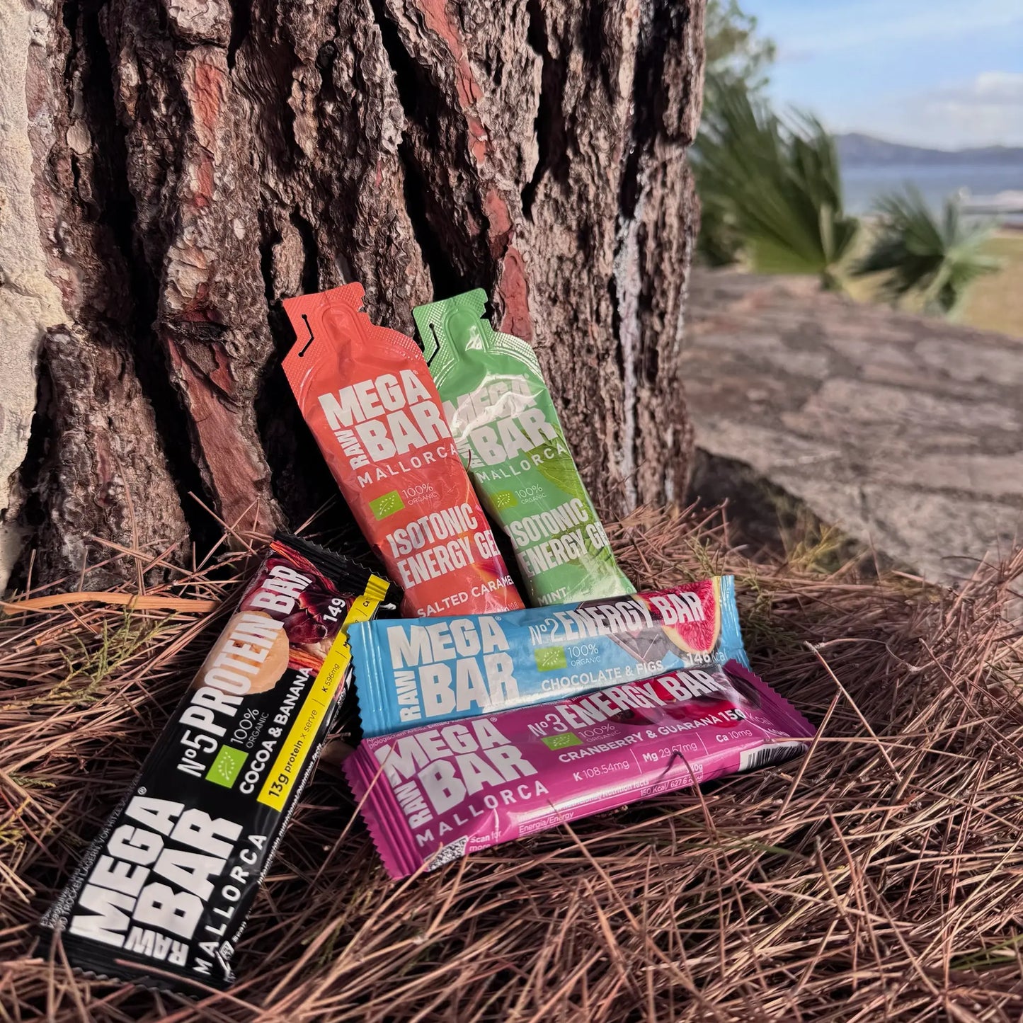 MegaRawBar MiniBox zum Testen oder als kleines Geschenkt Ideal