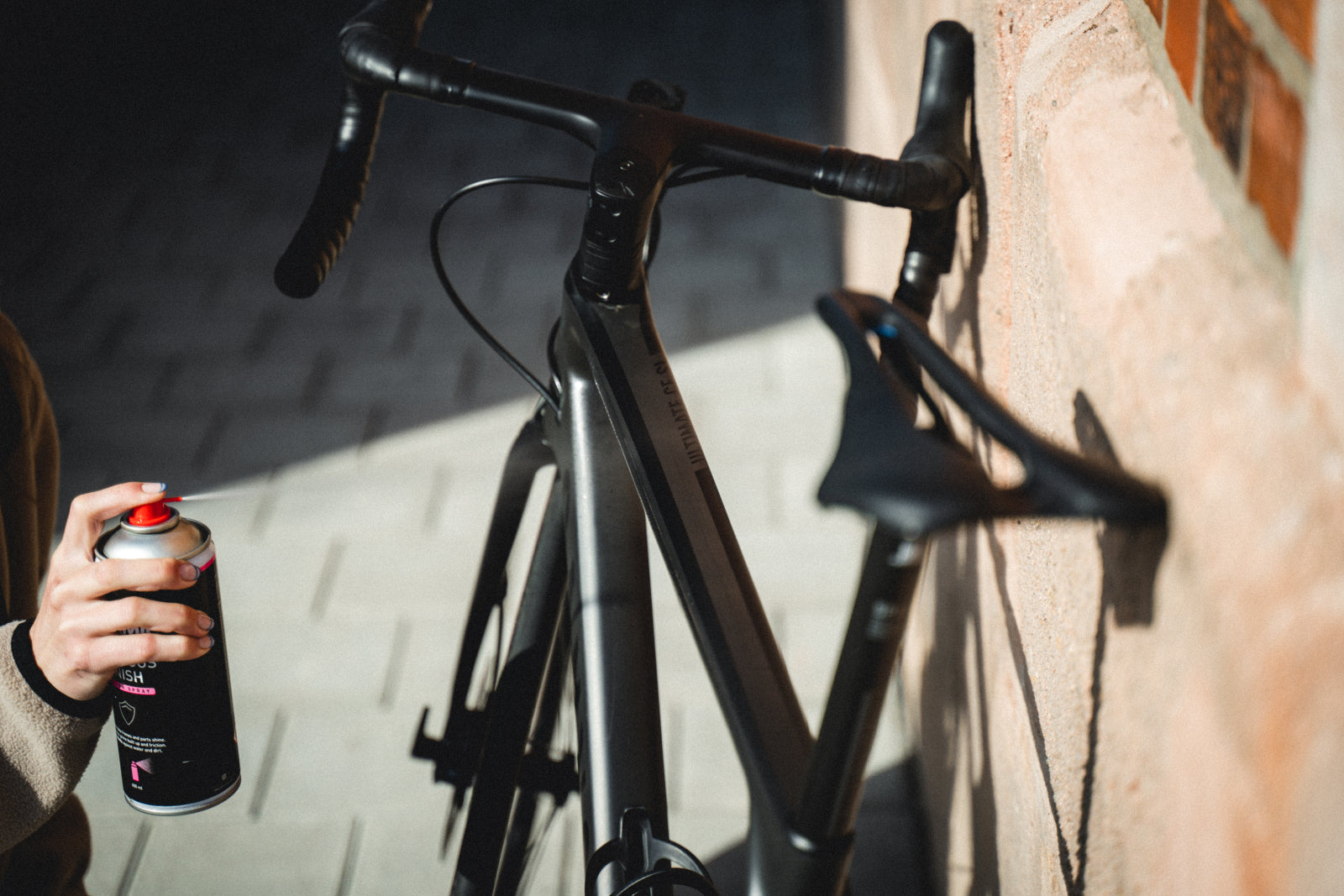 DYNAMIC BIKE CARE Fabulous Finish Pflegespray