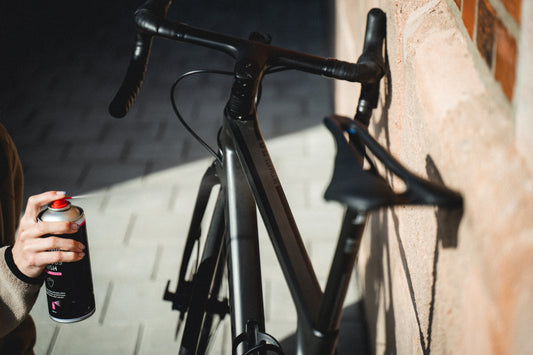 DYNAMIC BIKE CARE Fabulous Finish Pflegespray